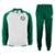 Agasalho Conjunto Masculino Jaqueta Calça Palmeiras Trilobal Verde Branco - Branco+Verde