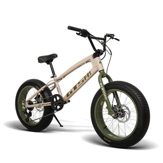 Bicicleta 20 GTS M1 Freio Hidráulico 7V Shimano Fat Boy Force
