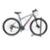Bicicleta Aro 29 Gti Roma Alumínio 21v Freio a Disco Suspensão Dianteira Mountain Bike - Cinza+Preto