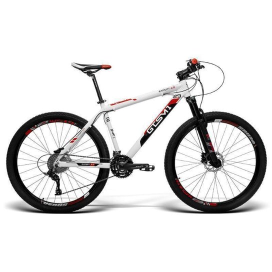 Bicicleta GTS Aro 29 Freio a disco Hidráulico Câmbios GTS TSI 24 Marchas| GTS M1 New Expert 2.0