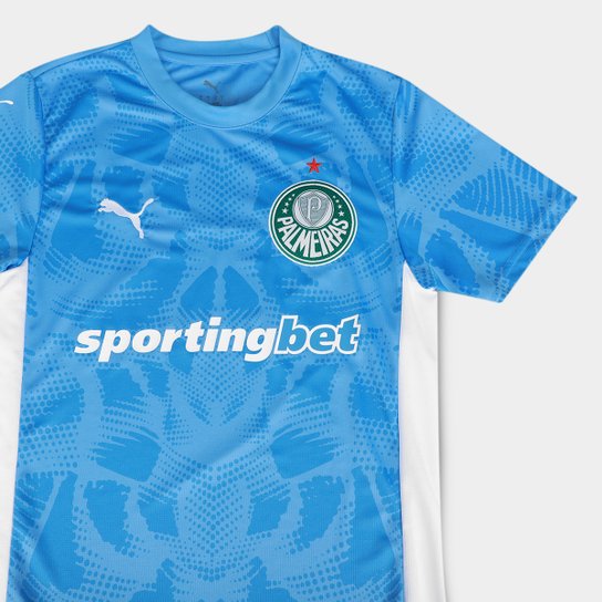 Camisa de Goleiro Palmeiras I 25/26 s/n Torcedor Puma Masculina