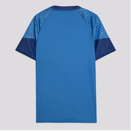 Camisa Palmeiras 24/25 s/n° Treino Puma Masculina