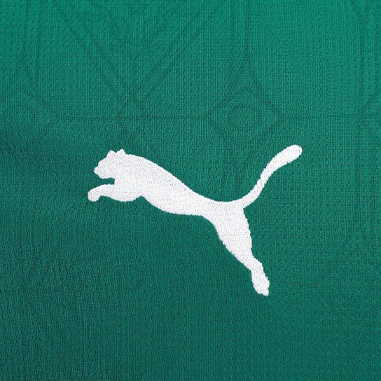 Camisa Palmeiras I 25/26 s/n Torcedor Puma Masculina