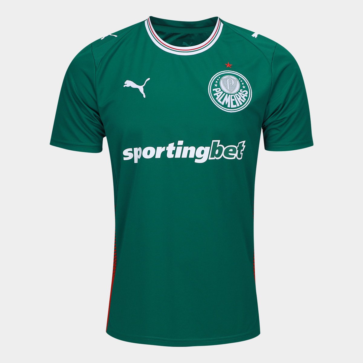 Camiseta Puma Graphic No.1 Masculina | Allianz Parque Shop