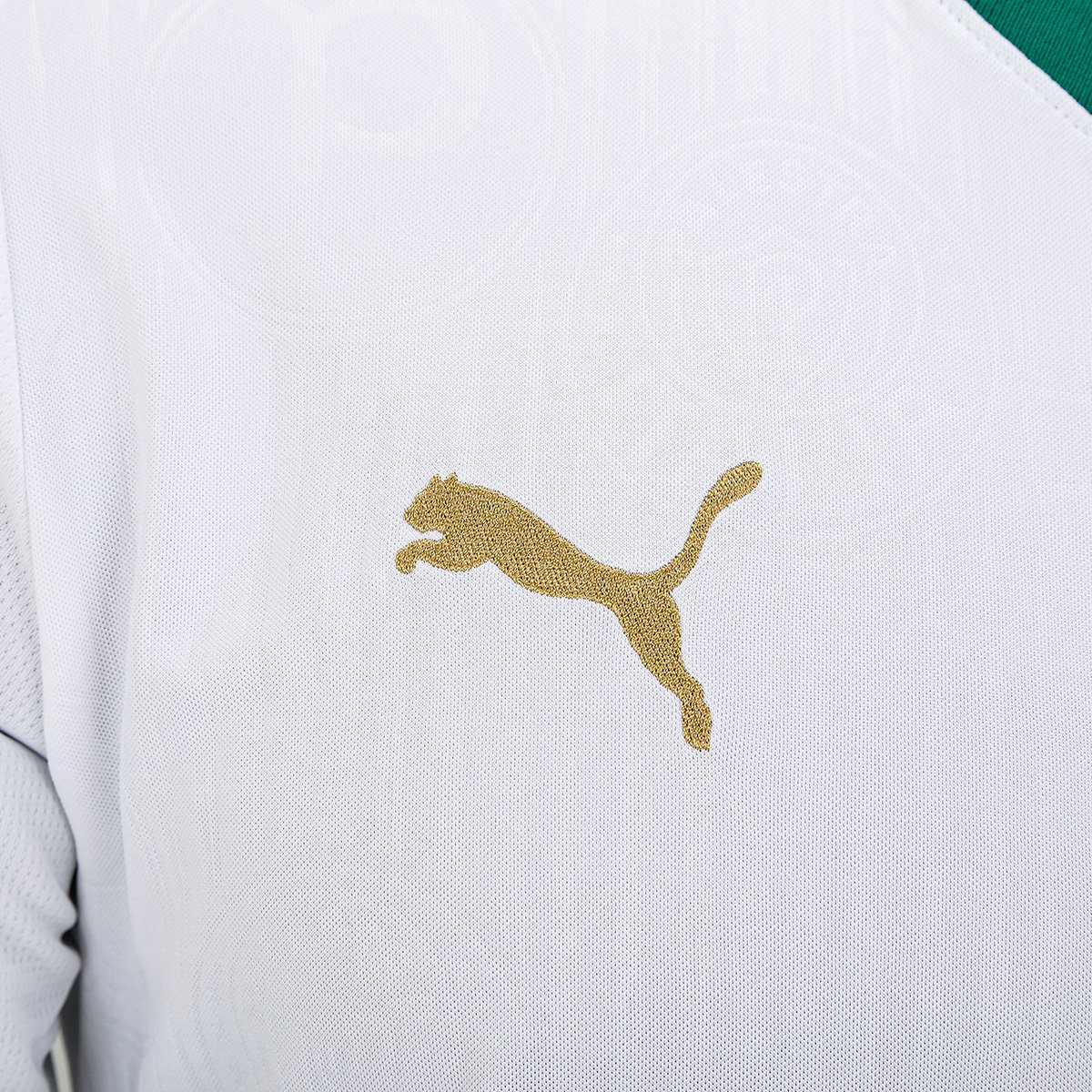 Camisa Palmeiras II 24/25 sn° Torcedor Puma Masculina Allianz