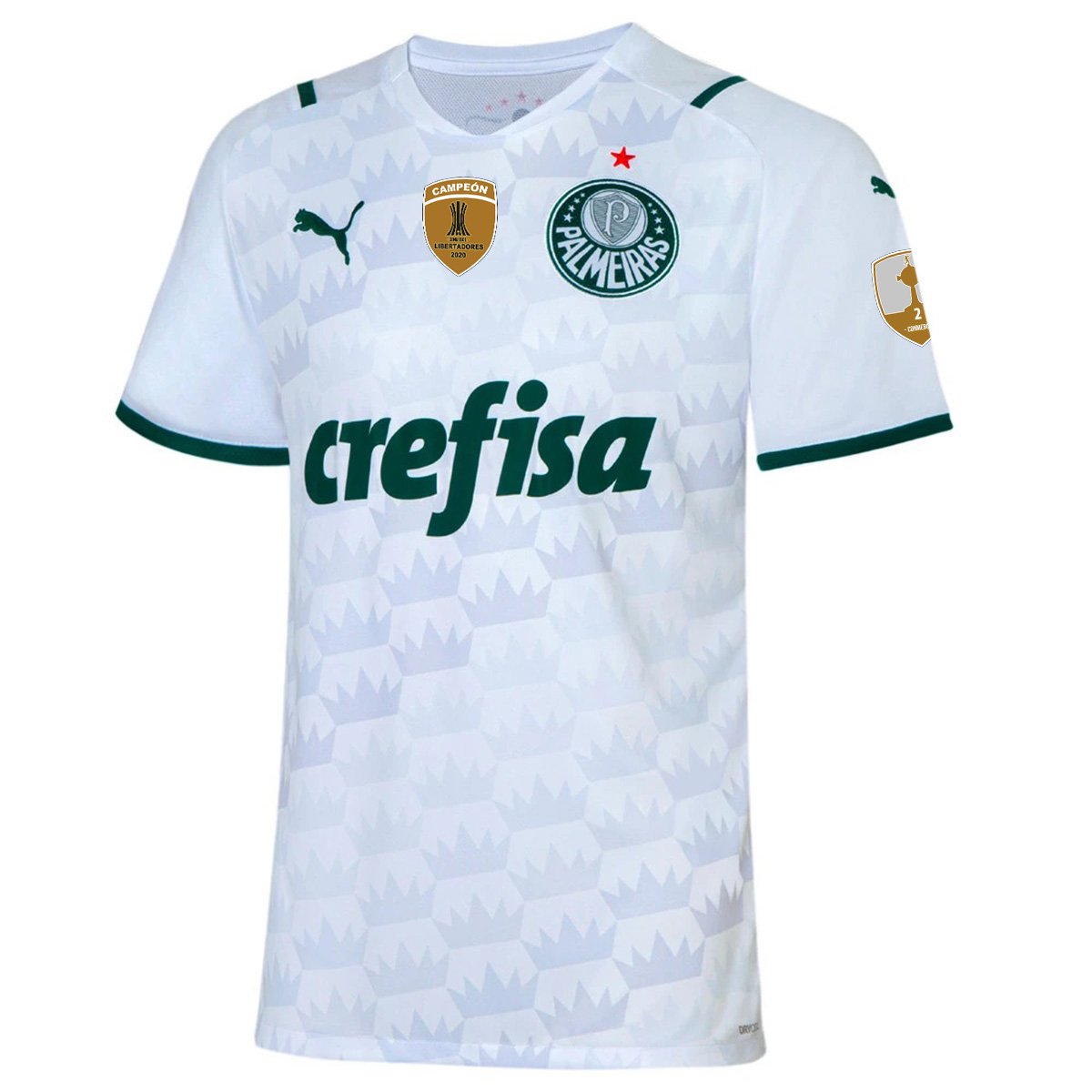 Camisa Palmeiras II Libertadores 21/22 s/n° Torcedor Puma Masculina