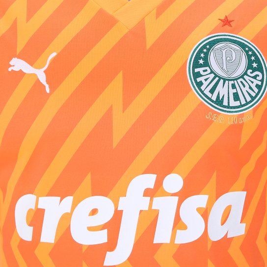 Camisa Palmeiras III 24/25 s/n° Goleiro Puma Masculina