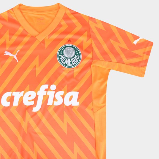 Camisa Palmeiras III 24/25 s/n° Goleiro Puma Masculina