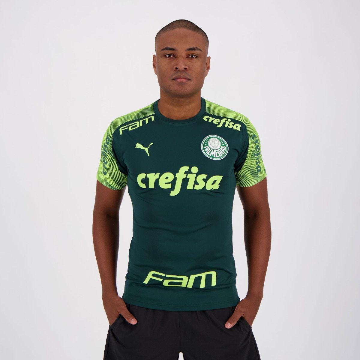 camiseta masculina do palmeiras