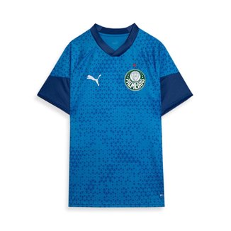 Camisa Treino e Viagem Palmeiras 2024