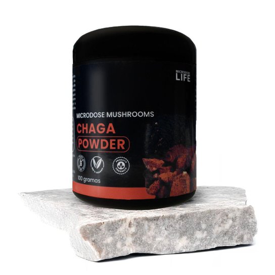 Chaga - Powder 100gr