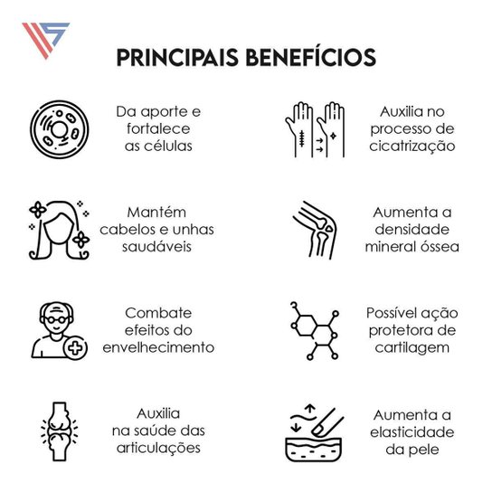 Colágeno Hidrolisado 120 Cápsulas Vitamax Nutrition