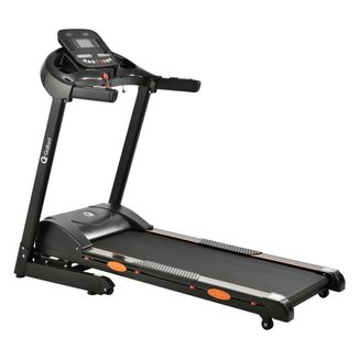 Esteira Ergométrica Elétrica Gallant Elite Pro 3.0hp 16km/H 120kg 220v (GEE12E30A-220PT)