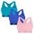 Kit 3 Tops Puma Nadador Sem Costura Feminino - Roxo e Azul G - Roxo