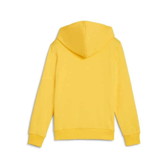 Moletom Juvenil Puma com Capuz Neymar Jr "BNA" Unissex