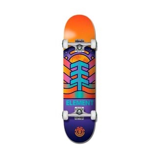 SHAPE ELEMENT ADONIS 8.375 - ASSORTED - U