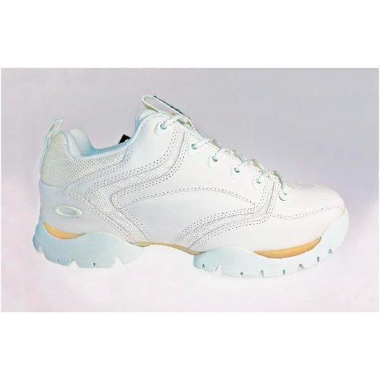 Tenis Oakley Flak 365 Radioactive Allianz Parque Shop