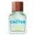 United Dreams Cactus For Him Benetton - Perfume Masculino Eau De Toilette 100ml - Incolor