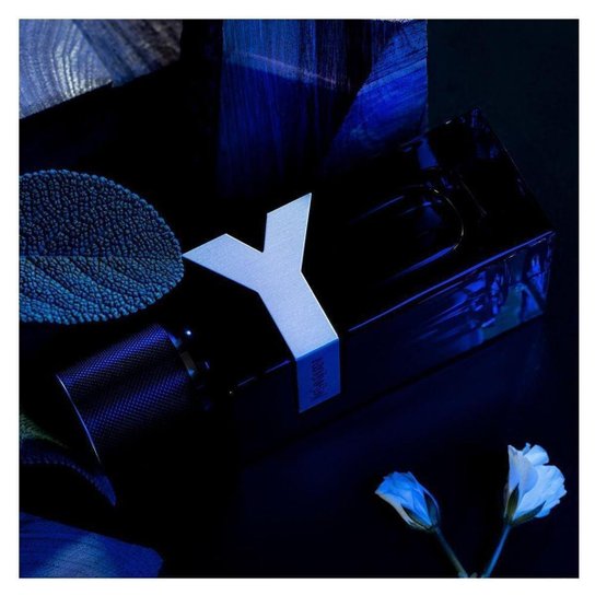 Y Yves Saint Laurent Perfume Masculino EDP 100ml